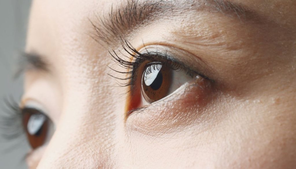 does your immune system know about your eyes​