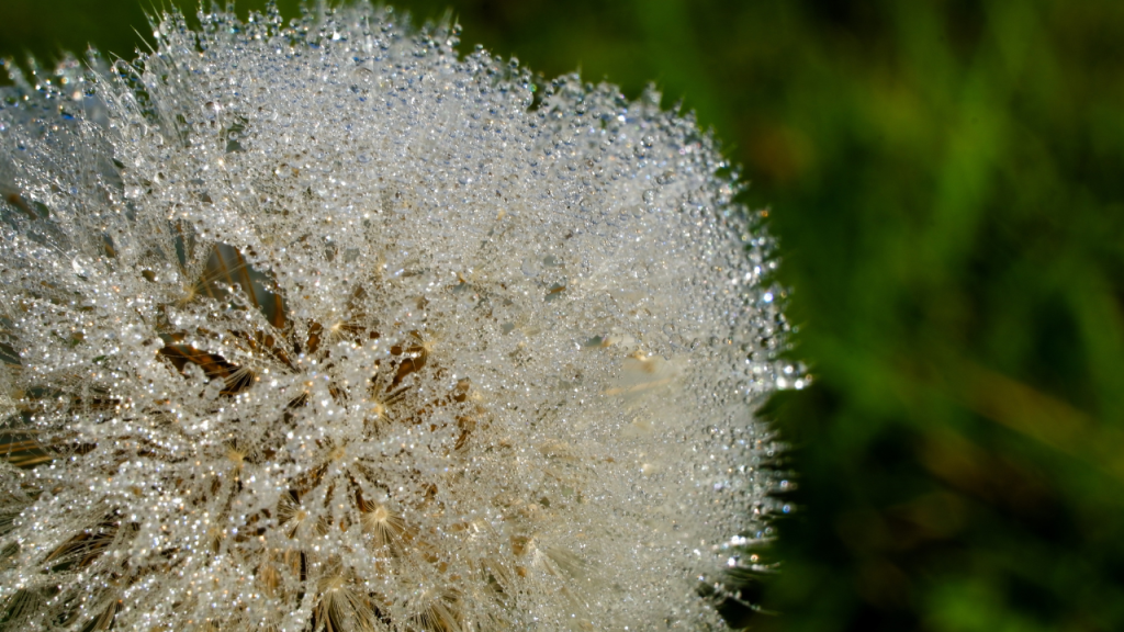 when is allergy season​