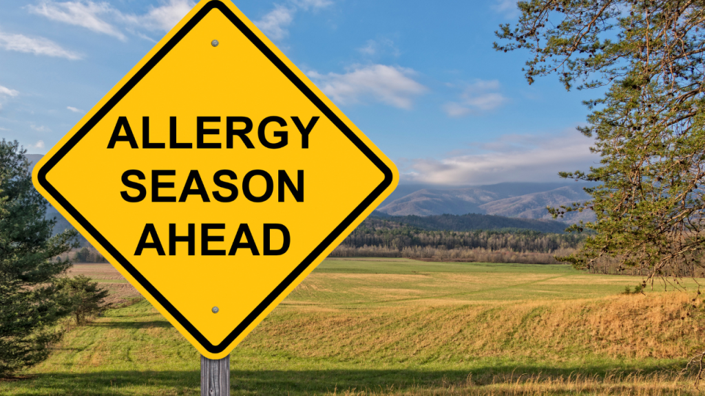 when is allergy season​