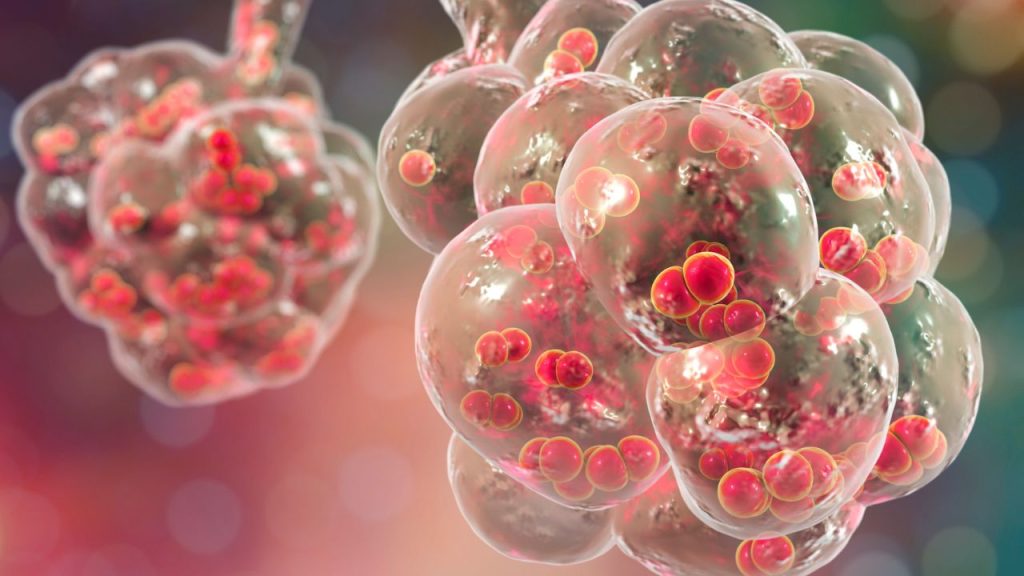 bc pneumonia vaccine​